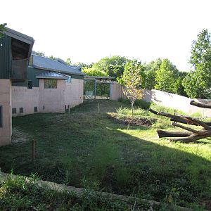 Philadelphia Zoo 2010 - Part of Gorilla exhibit in PECO Primate Reserve