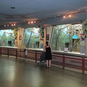 Philadelphia Zoo 2010 - General view in Rare Animal Conservation Center
