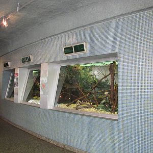 Philadelphia Zoo 2010 - General view in Rare Animal Conservation Center
