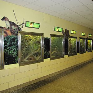 Philadelphia Zoo 2010 - General view inside Small Mammal House