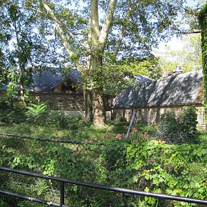 Philadelphia Zoo 2010 - Overgrown former exhibit behind the Small Mammal Ho