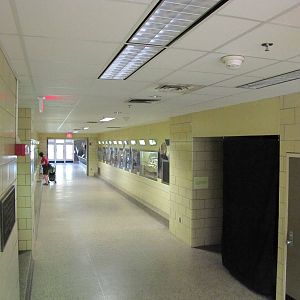 Philadelphia Zoo 2010 - Diurnal wing of Small Mammal House