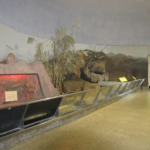 Philadelphia Zoo 2010 - Open exhibit for Aardvark and Meerkat