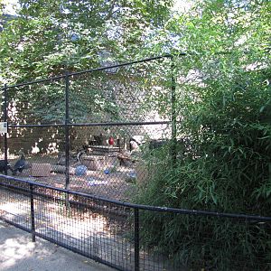 Philadelphia Zoo 2010 - Front of Southern Ground Hornbill enclosure