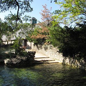 Philadelphia Zoo 2010 - First part of Nile Hippopotamus pool