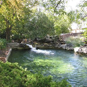Philadelphia Zoo 2010 - Second part of Nile Hippopotamus pool