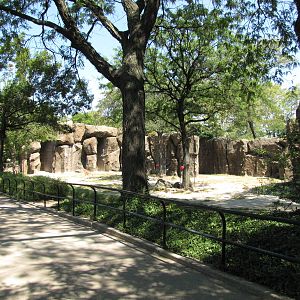 Philadelphia Zoo 2010 - Alongside Giraffe exhibit in African Plains