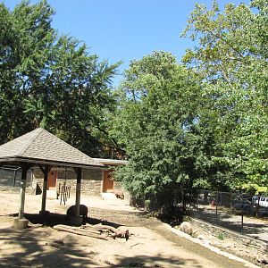 Philadelphia Zoo 2010 - Bornean Bearded Pig exhibit