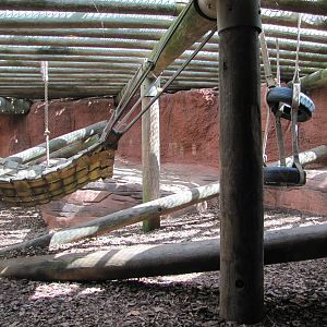 Oklahoma City Zoo 2010 - Part of Gorilla indoor exhibit