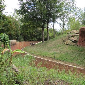 Oklahoma City Zoo 2010 - Part of Ape exhibit