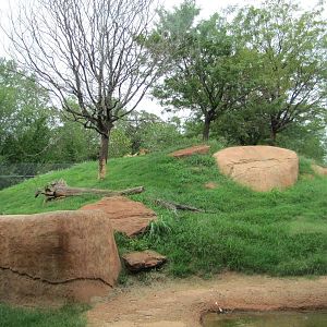 Oklahoma City Zoo 2010 - Part of African Lion exhibit in Lion Overlook