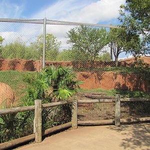 Oklahoma City Zoo 2010 - Enclosure in Cat Forest