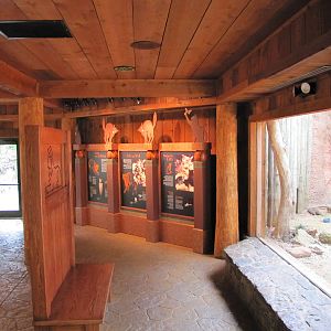 Oklahoma City Zoo 2010 - General view in Small Cat Center