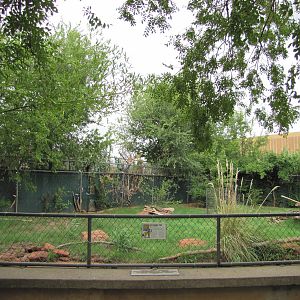 Oklahoma City Zoo 2010 - Front of Bat-eared Fox exhibit on Wild Dog Drive