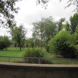 Oklahoma City Zoo 2010 - One viewing point of a large Spotted Hyena exhibit