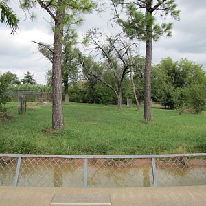 Oklahoma City Zoo 2010 - Another viewing point of a large Spotted Hyena exh