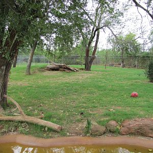 Oklahoma City Zoo 2010 - Spectacled Bear exhibit on Wild Dog Drive