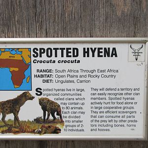 Oklahoma City Zoo 2010 - Interesting label on Wild Dog Drive