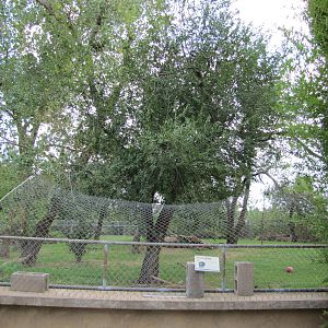 Oklahoma City Zoo 2010 - Front of Spectacled Bear exhibit on Wild Dog Drive
