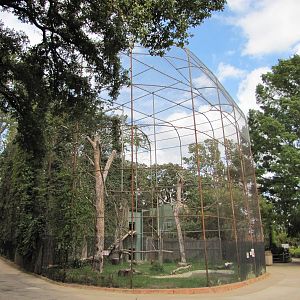 Oklahoma City Zoo 2010 - Andean Condor aviary