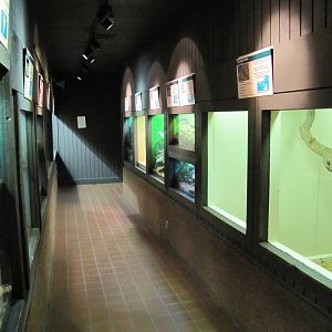 Oklahoma City Zoo 2010 - General view in Herpetarium