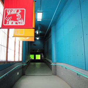 Oklahoma City Zoo 2010 - Passage between levels in Noble Aquatic Center