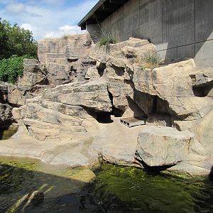 Oklahoma City Zoo 2010 - Seal and Sea Lion Pool outside Noble Aquatic Cente