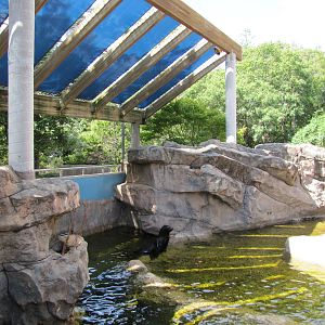 Oklahoma City Zoo 2010 - Seal and Sea Lion Pool outside Noble Aquatic Cente