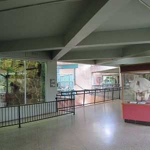 Oklahoma City Zoo 2010 - General view in Pachyderm Building