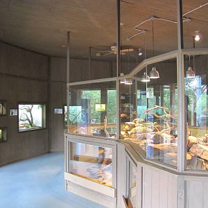 Oklahoma City Zoo 2010 - General view inside Island Life building