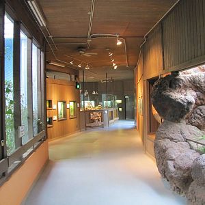 Oklahoma City Zoo 2010 - General view inside Island Life building