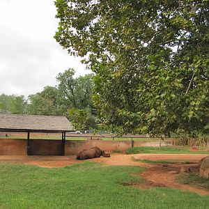 Oklahoma City Zoo 2010 - Part of Black Rhinoceros exhibit