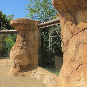 Oklahoma City Zoo 2010 - Swift Fox exhibit in Oklahoma Trails