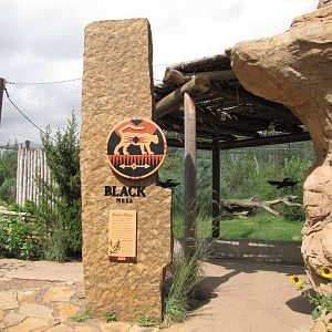 Oklahoma City Zoo 2010 - Black Mesa section in Oklahoma Trails