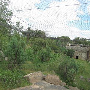 Oklahoma City Zoo 2010 - Cougar exhibit in Oklahoma Trails