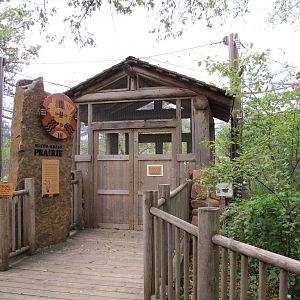 Oklahoma City Zoo 2010 - Mixed Grass Prairie section in Oklahoma Trails