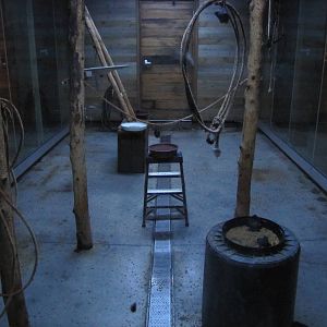 Oklahoma City Zoo 2010 - Bat exhibit in Nocturnal House in Oklahoma Trails