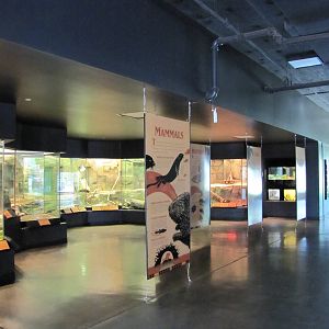 Oklahoma City Zoo 2010 - General view inside Rivers building in Oklahoma Tr