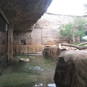 Oklahoma City Zoo 2010 - Part of River Otter exhibit in Oklahoma Trails