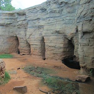 Oklahoma City Zoo 2010 - Part of Black Bear exhibit in Oklahoma Trails
