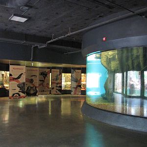 Oklahoma City Zoo 2010 - General view inside Rivers building in Oklahoma Tr