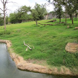 Oklahoma City Zoo 2010 - Part of Black Bear exhibit in Oklahoma Trails