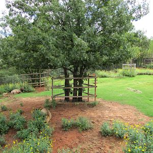Oklahoma City Zoo 2010 - Wapiti exhibit in Oklahoma Trails