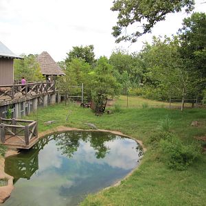 Oklahoma City Zoo 2010 - American Alligator exhibit in Oklahoma Trails