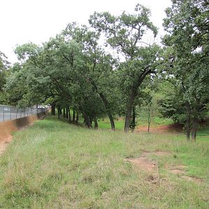 Oklahoma City Zoo 2010 - Part of large mixed deer exhibit