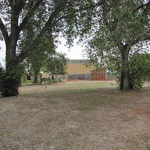 Oklahoma City Zoo 2010 - Grevy Zebra exhibit