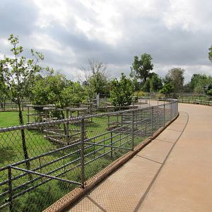 Oklahoma City Zoo 2010 - General view in ungulate section