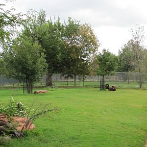 Oklahoma City Zoo 2010 - Sable Antelope exhibit