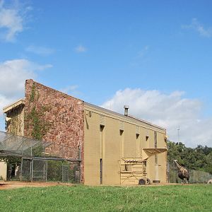 Oklahoma City Zoo 2010 - Giraffe House