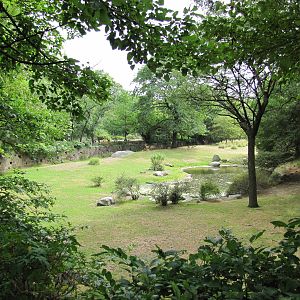 Bronx Zoo 2010 - Part of famous African Savannah exhibit